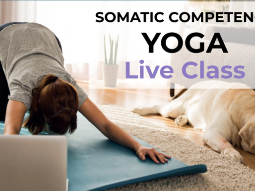Somatic Competence® Yoga Live Class