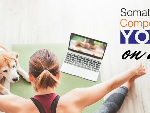 Somatic Competence® Yoga ON AIR