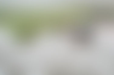 Hiperadrenocorticismo x doença renal