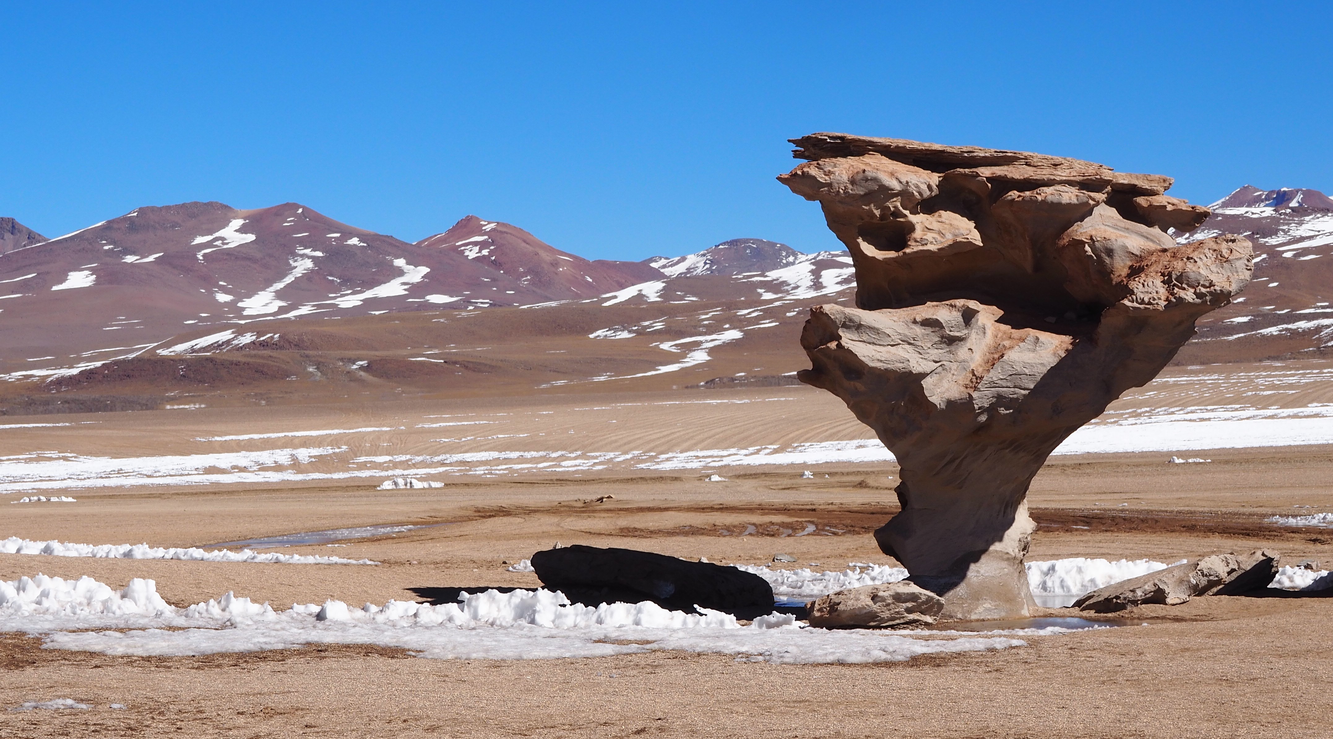 Árbol de Piedra (tree of stone)