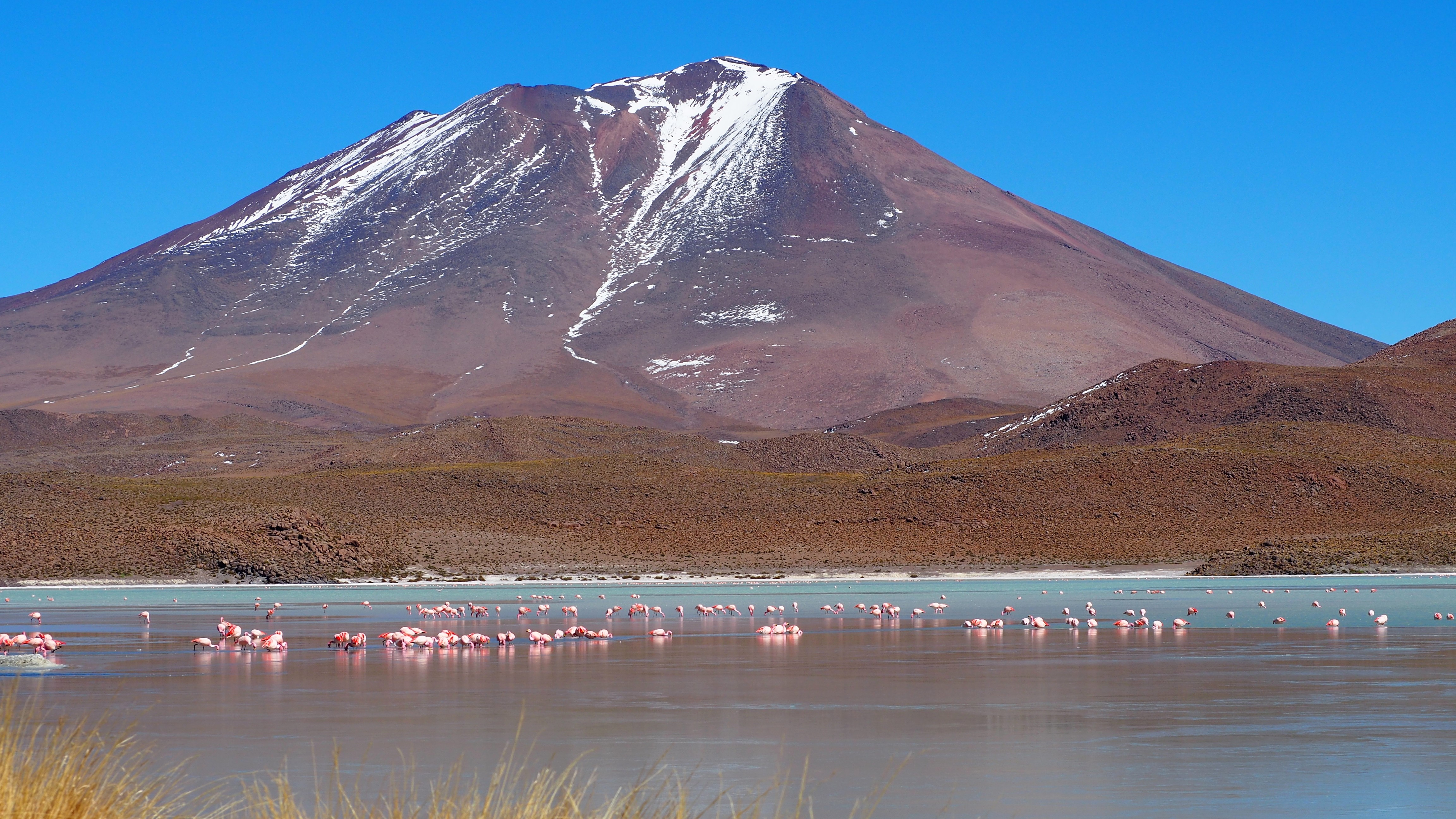 Laguna Hedionda