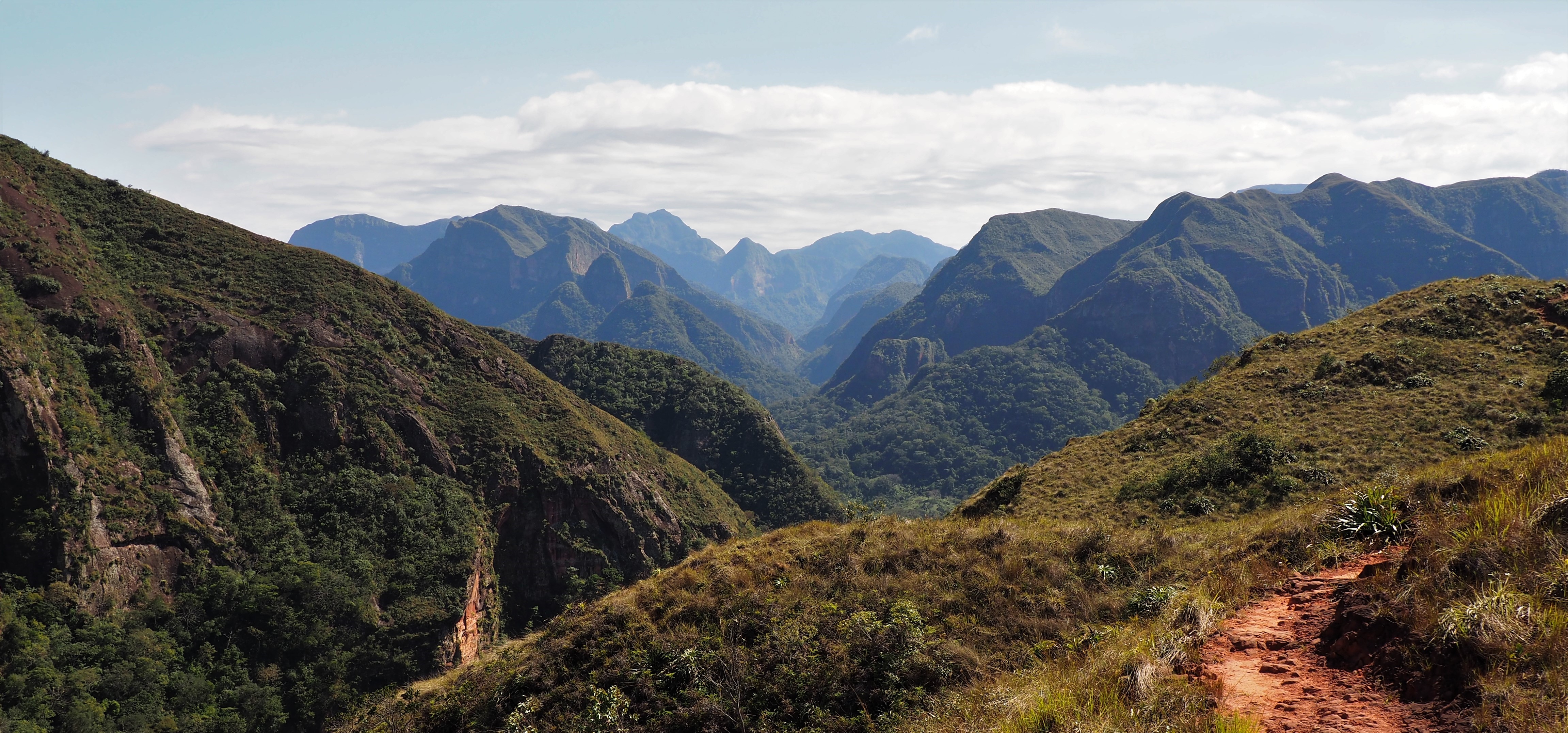 Amboro National Park