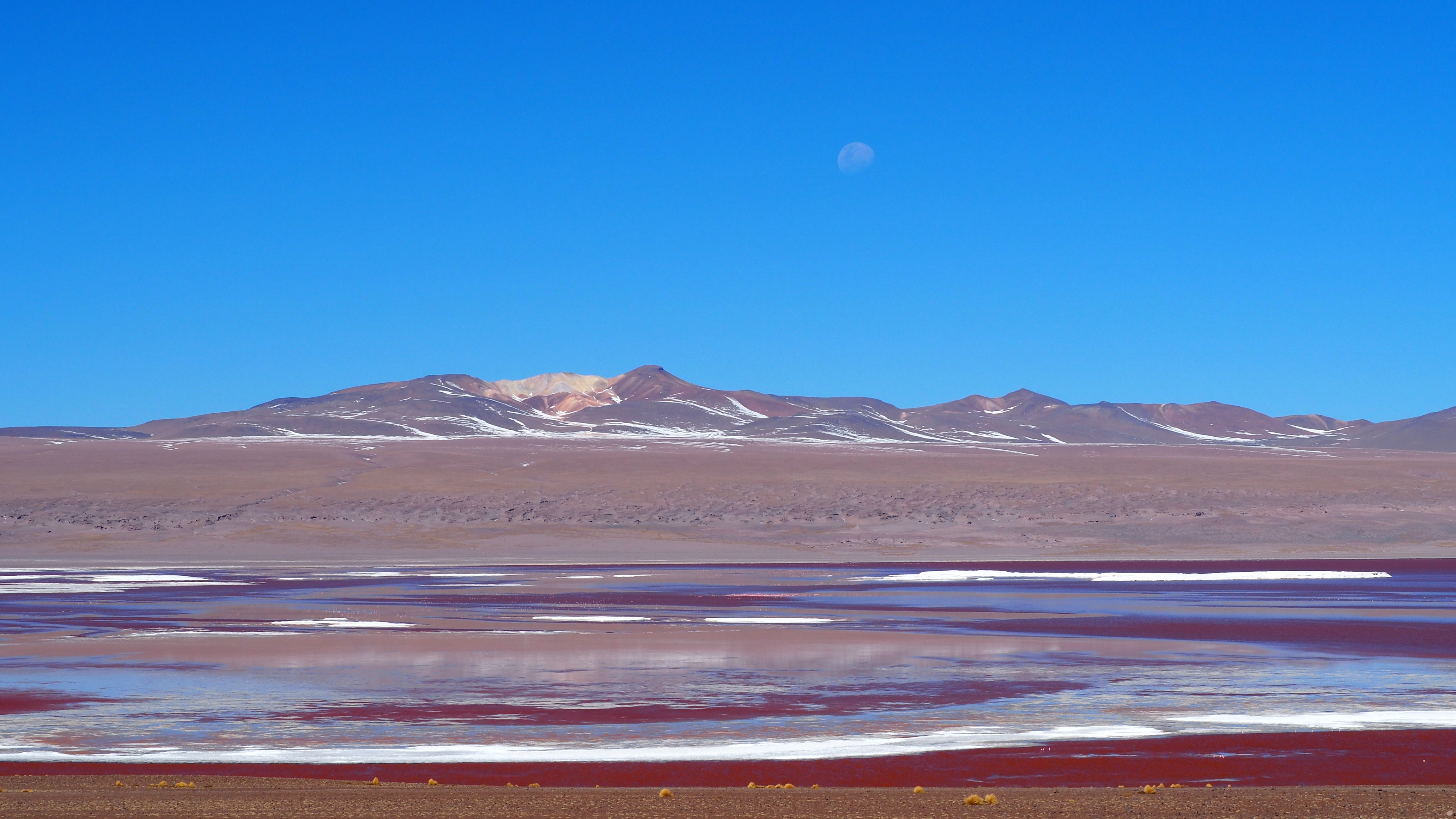 moon rise over Laguna Colorada