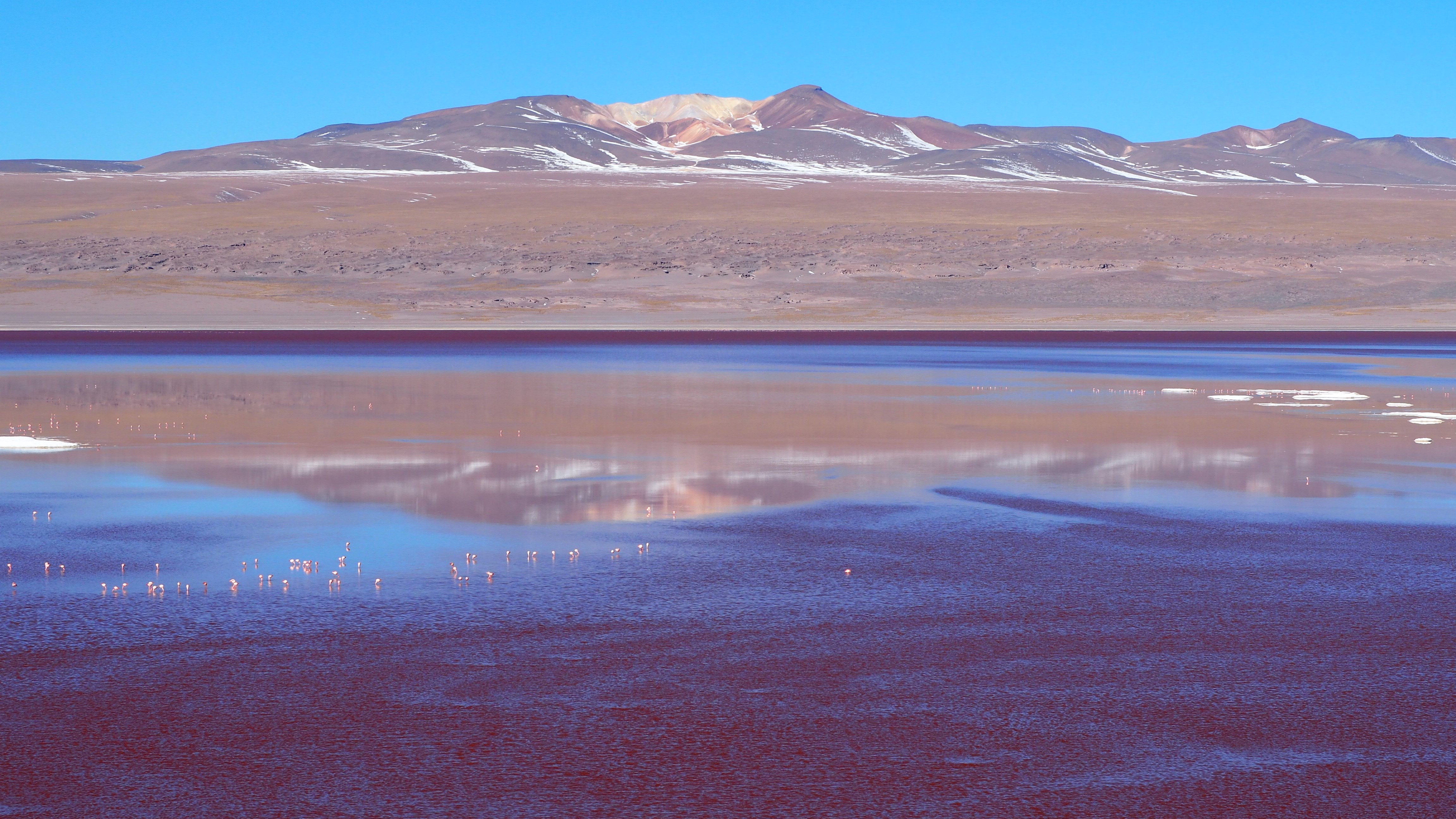 Laguna Colorada