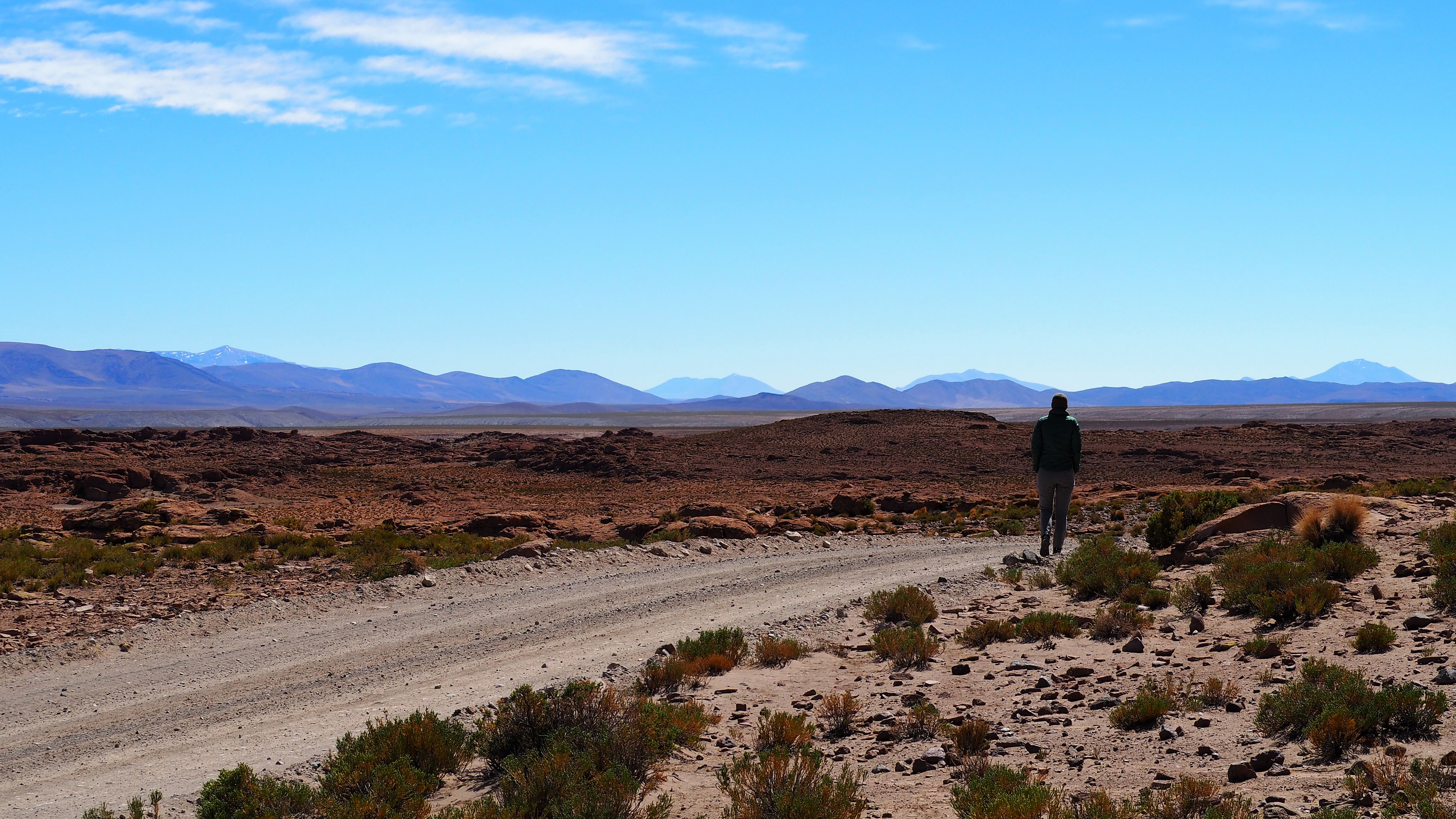 SEES on the southern Bolivian desert
