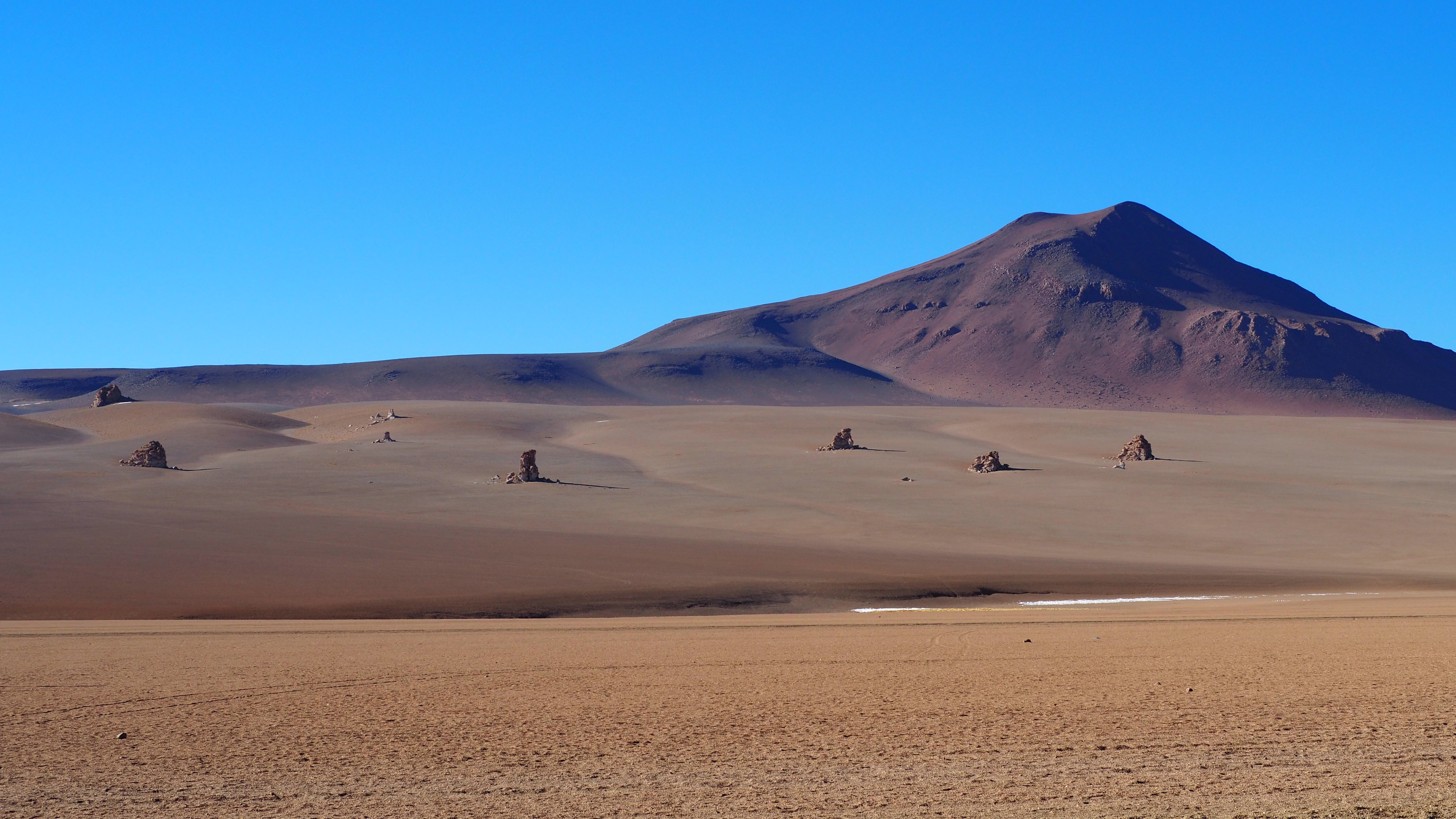 Salvador Dalí desert