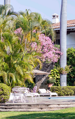 Captura de pantalla 2024-10-07 a la(s) 4.19.03 p.m..png