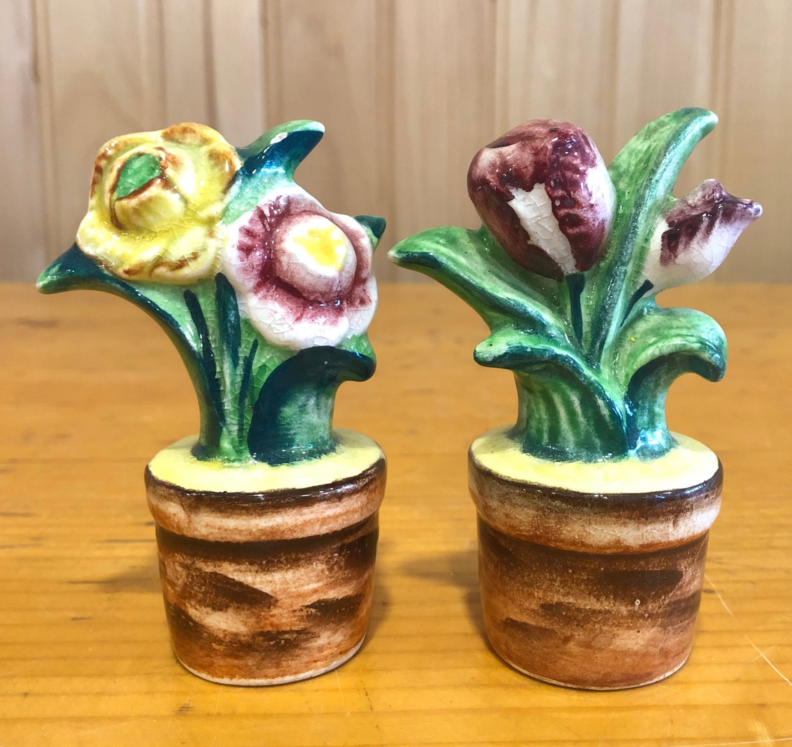 Flower in Pot Salt & Pepper Shaker Set