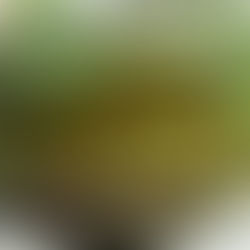 Le vinaigre des 4 voleurs : antiseptique, dépuratif et stimulant immunitaire naturel