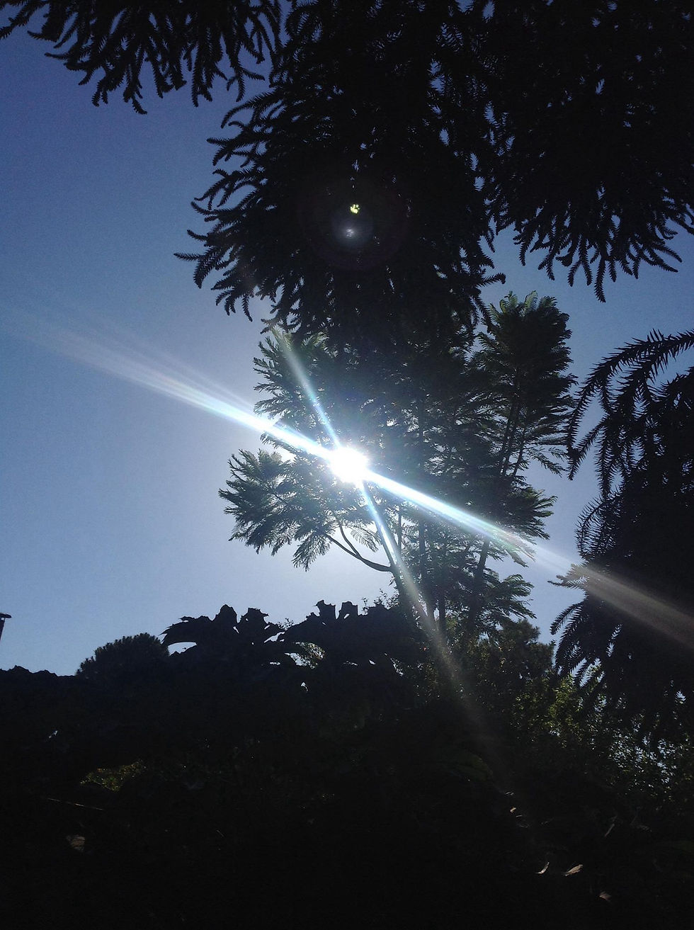 sol que raia