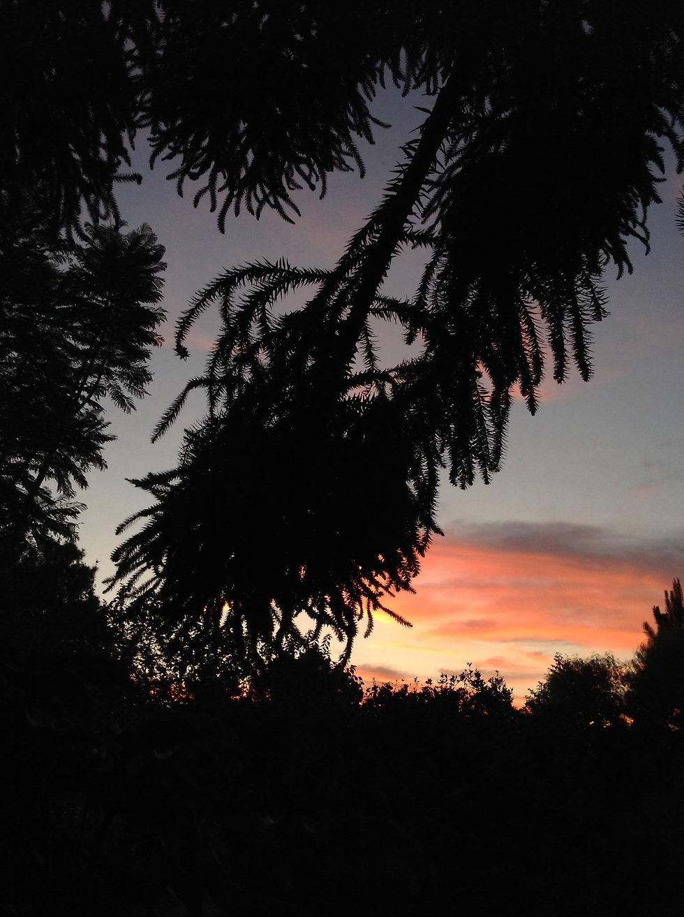 amanhecer