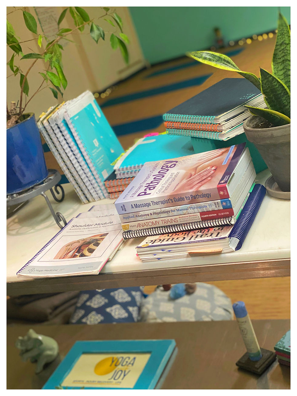Joy Zazzera teaches from a therapeutic, anatomy-informed approach. It’s rooted in the Yoga Medicine® model and influenced by a decade of evidence-informed training in movement, mindfulness, meditation, and bodywork.