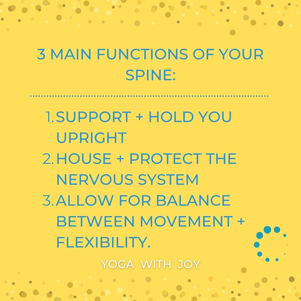 A healthy spine plays a crucial role in our body's ability to move efficiently as well as protect and house our spinal cord.