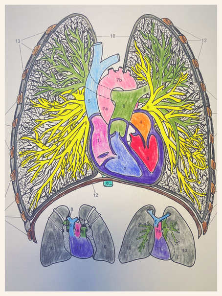 Post-COVID Exercise Considerations for Long-Haulers