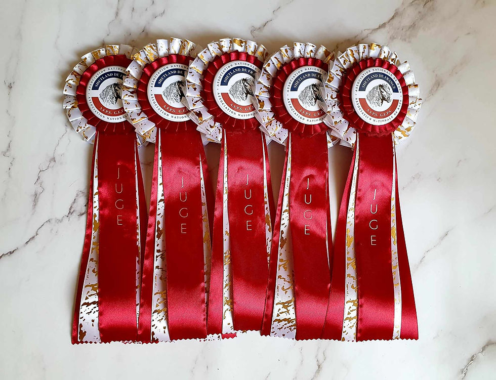 368685234_1525585891602988_8890481959133833488_n