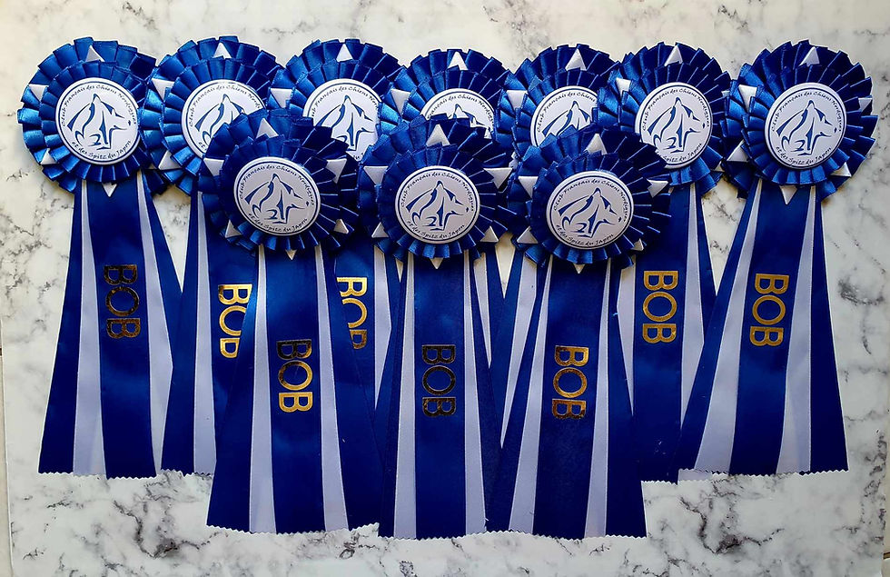 436518267_1205555033683477_4320729761161050685_n