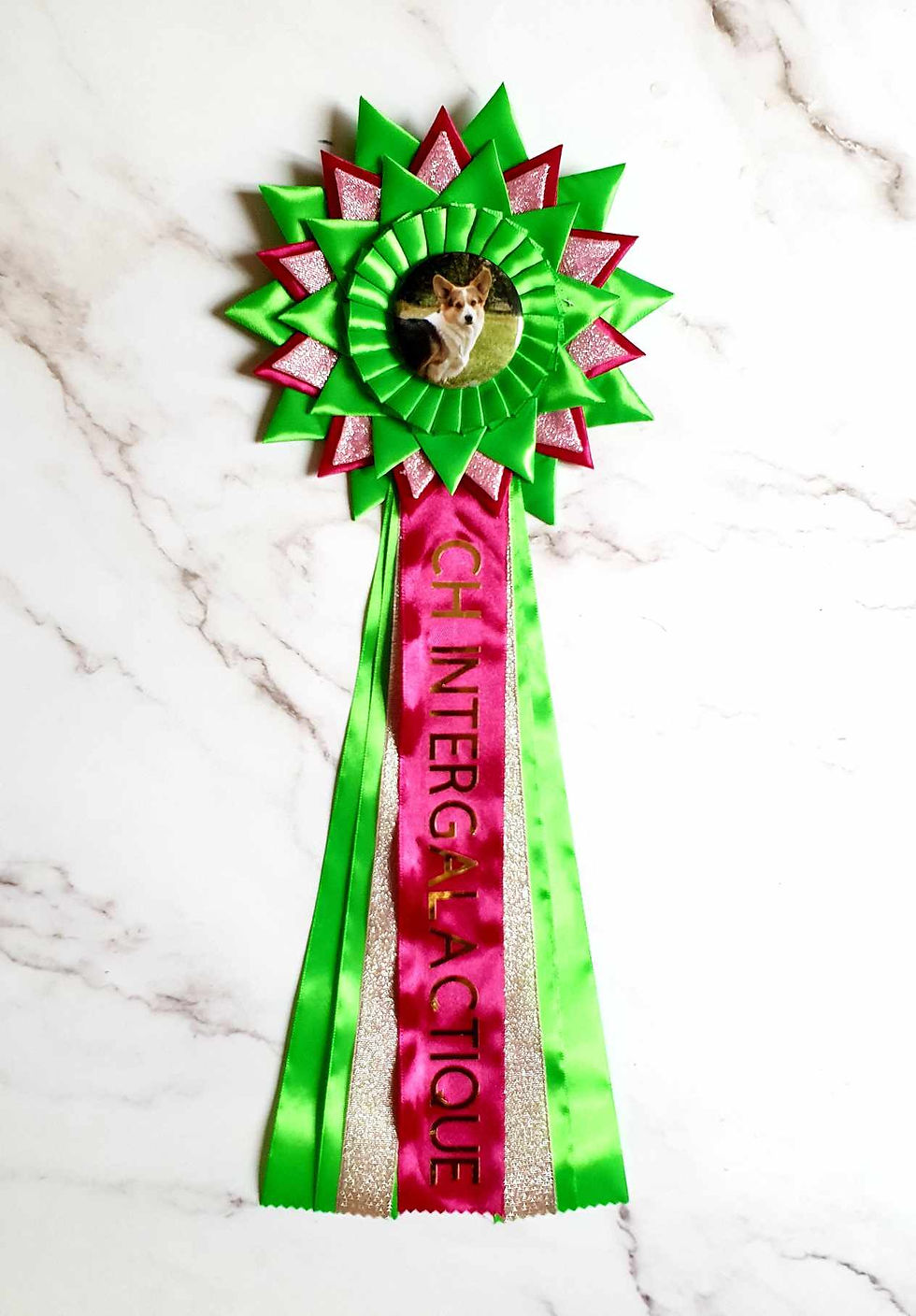 368887466_1038134384193477_4209368700396901164_n