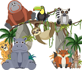 rainforest.png