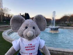 Socially Distanced in Welwyn Garden City
