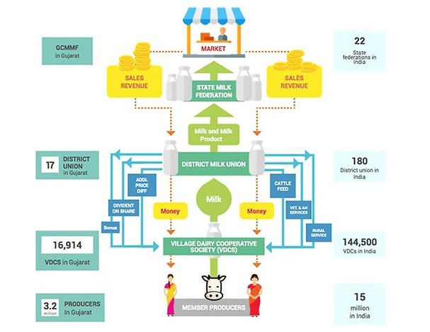 Amul - Case Study | MacroInsights
