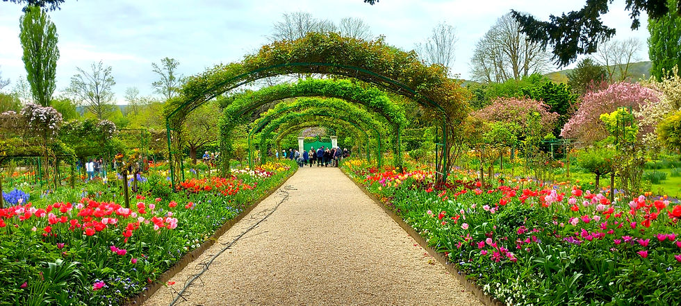 Claude Monet garden Clos Normand central gravel path in Giverny lined with bright red and pink tulips under green climbing plant arches.