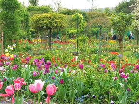 Monet's Garden with Autistic Kids: Giverny Family Guide