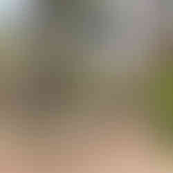 Dzintari Forest Playground zip line