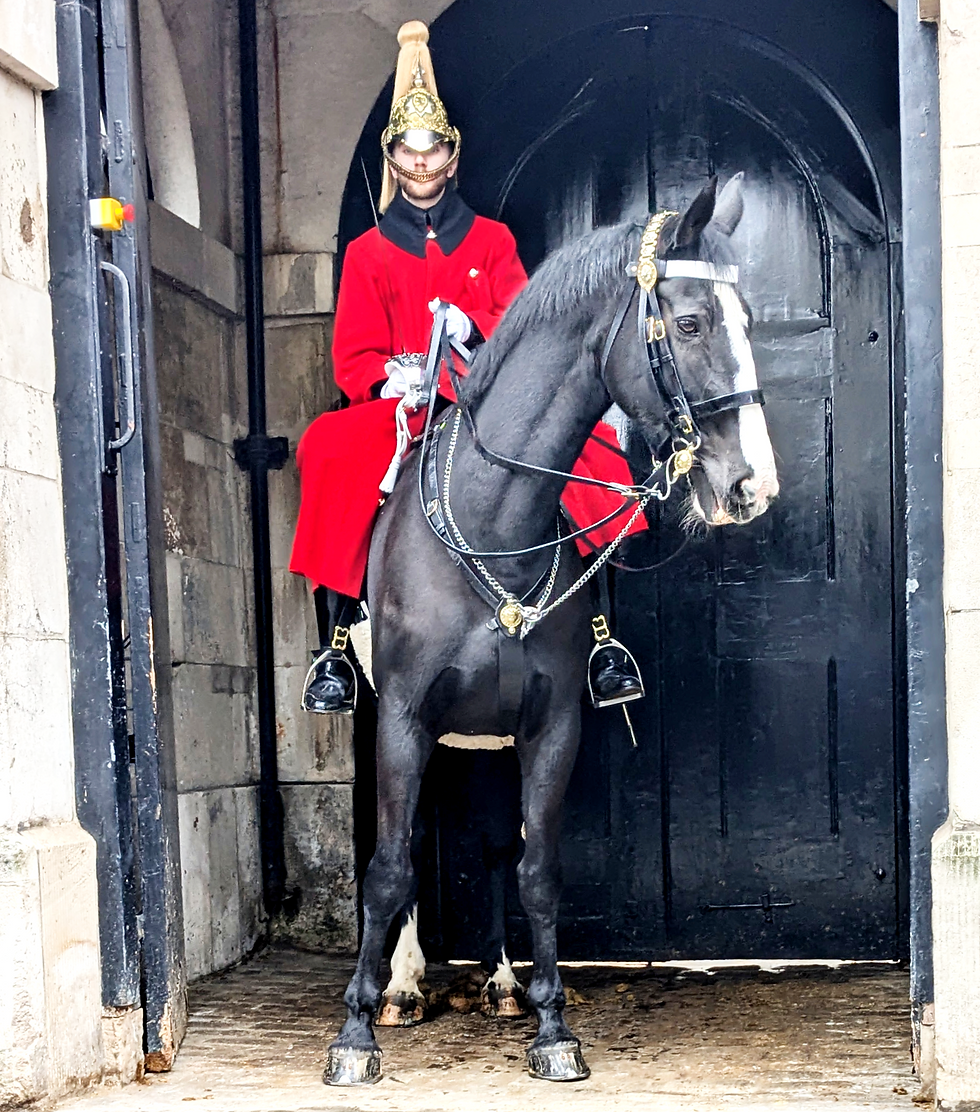 A mounted policeman wearing ceremonial red coat and pointed gold hat sits astride a black horse outside the gates to Downing Street in London