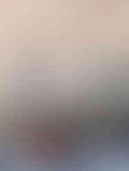 Neighbourhood cactus in terracotta pot - Ortigia Island, Syracuse