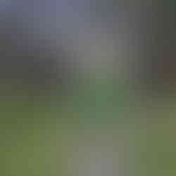 A sign in the woods saying Welcome to Dzintari Forest Park