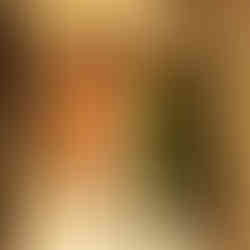 Patisserie in brown box from Boris Lume bakery, Paris