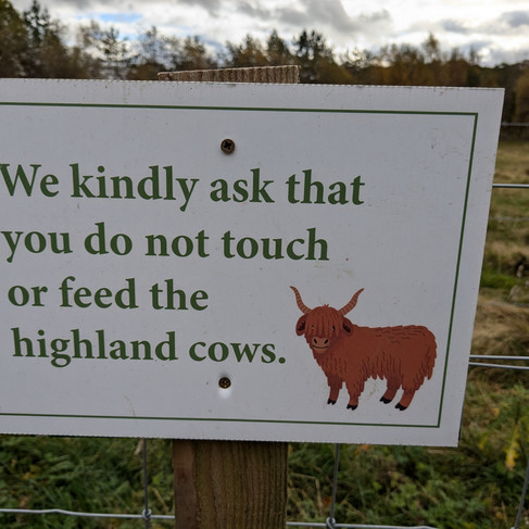 Sign asking visitors not to touch or feed the highland cows in the village of Luss, Loch Lomond, Scotland