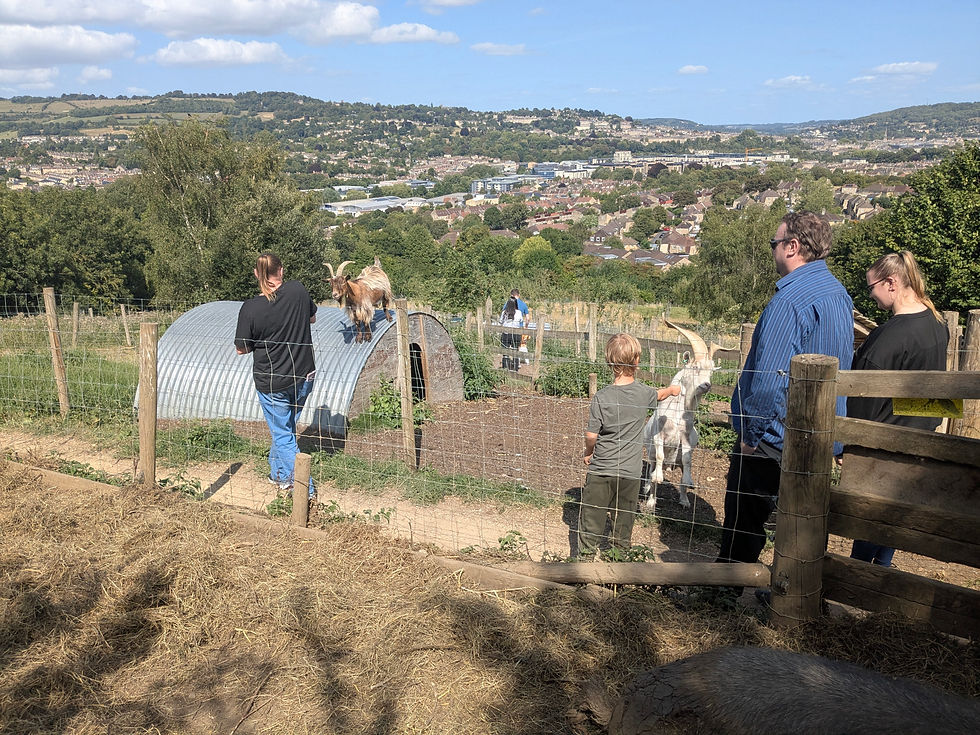 A family interacting with goats at Bath City Farm on a sunny day, featuring sweeping panoramic views of the city of Bath in Somerset, England.