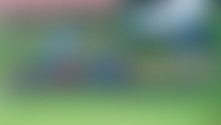 Clash of the Colours: Final Interhouse events for 2023