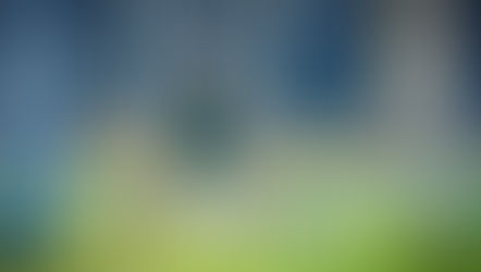 A Decade of Victories