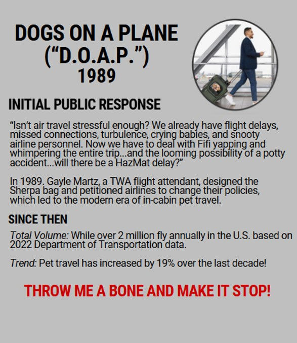 dogs plane.jpg