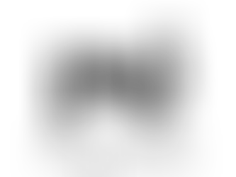 Welcome to Prana Strategy Group