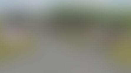 William McLlvanney ’super school’