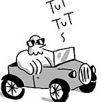 pigeon_voiture.jpg