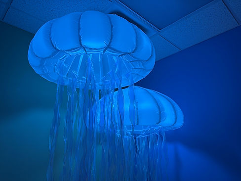 Jellyfish.jpg