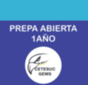 Prepa Abierta  1 año