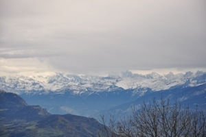 20121106-135740.jpg