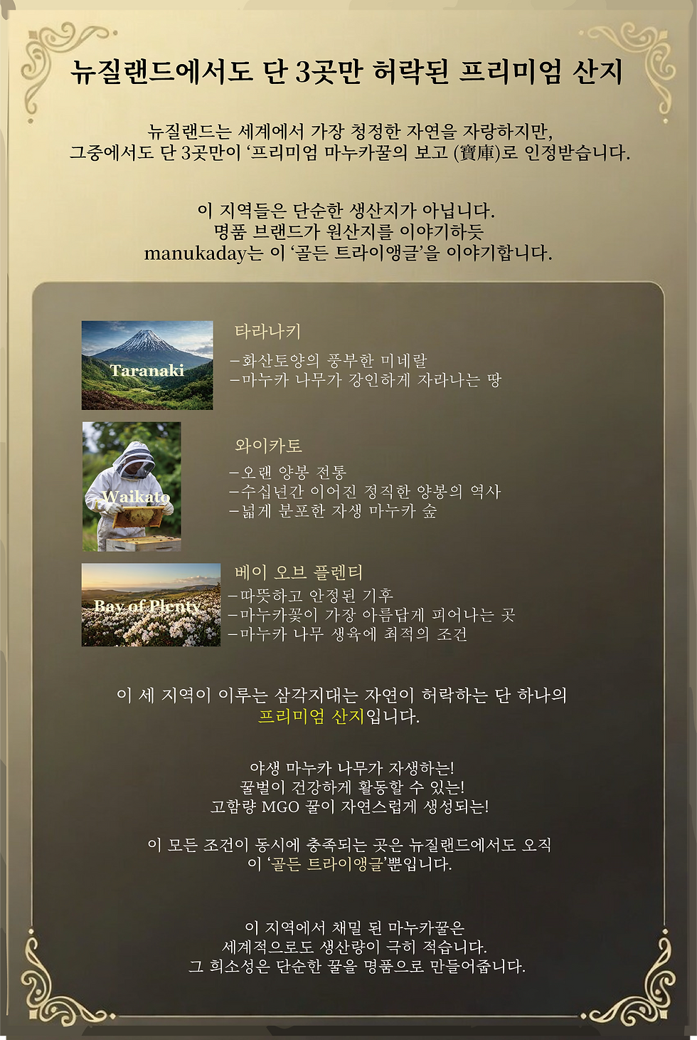 트라이앵글 (1).png