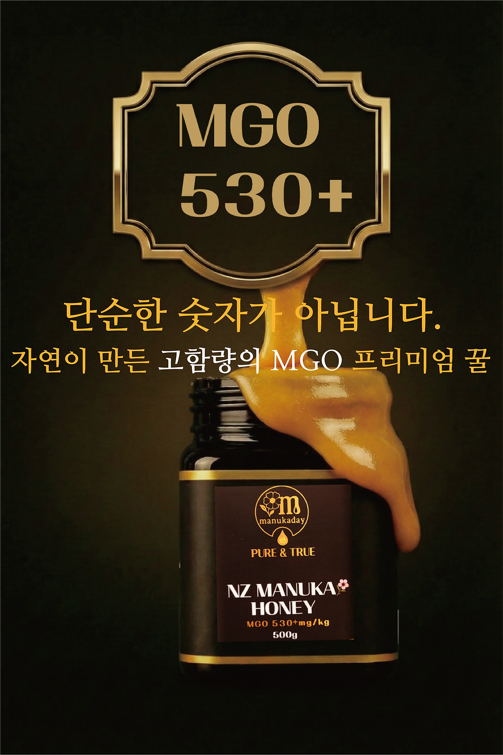 500 (1).png