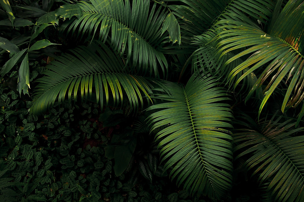AdobeStock_196920074.jpeg