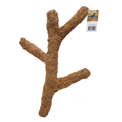 COCO BRANCHES