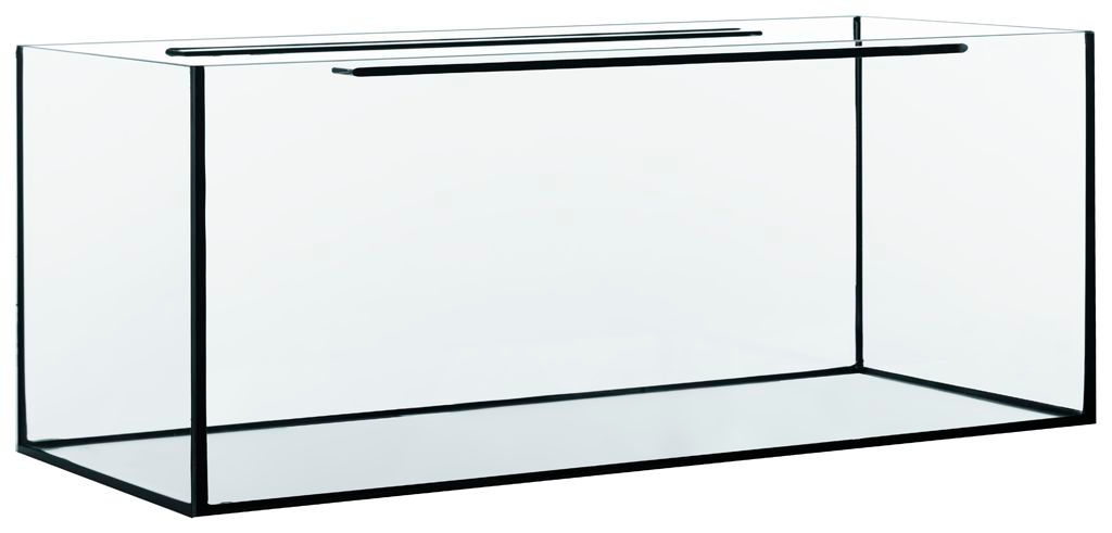 Cuve nue pour vivier, parfaite pour le stockage et l'entretien des crustacés en poissonnerie.