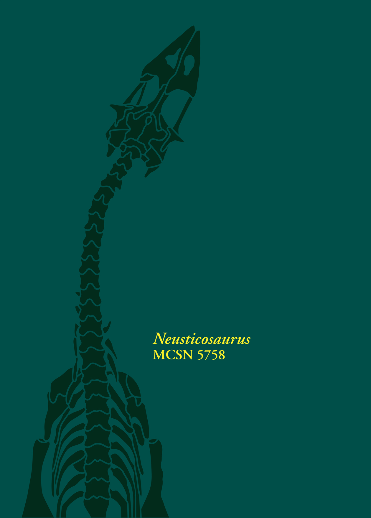 COPERTINA FOSSILI