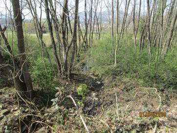 Riale Prella, Mendrisio