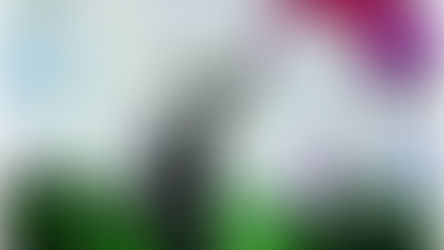 Non stancarti di volare alto …